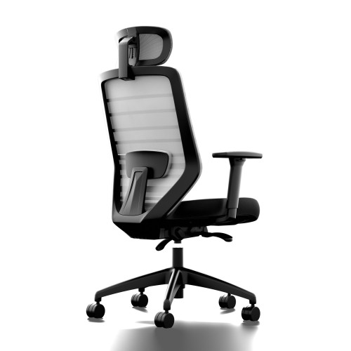 Krzesło ergonomiczne do biura - Pro Two, kadr tył