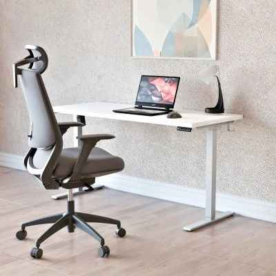 Ergonomiczne biurko elektryczne HOME... 2