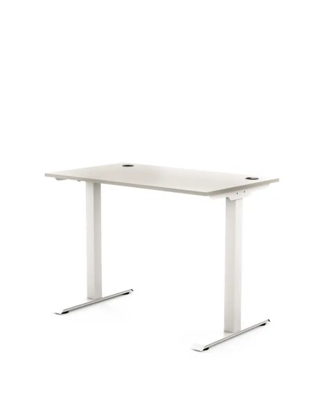 Biurko z metalowymi nogami 100x60| PRO-T, blat popiel, stelaż biały